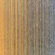 58ce2e1f-aea5-42bc-b0cd-fca6597d332c-30147.0x600.jpg